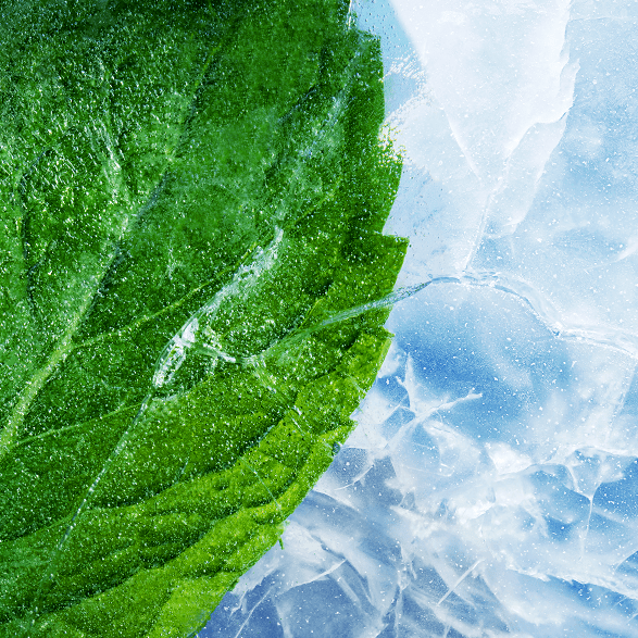 RELX-UK RELX Pod Pro (nicotine free)