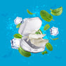 NicLeaf 3