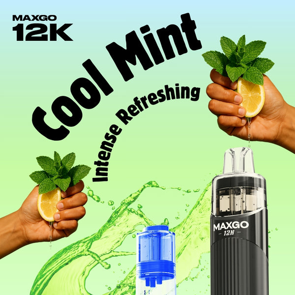 RELX MAXGO 12K

