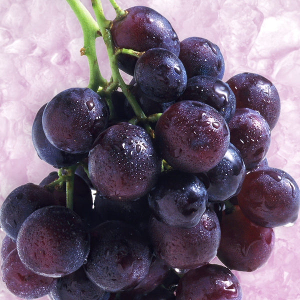 RELX_UK_Creator_Pod_Flavour_Grape_Ice
