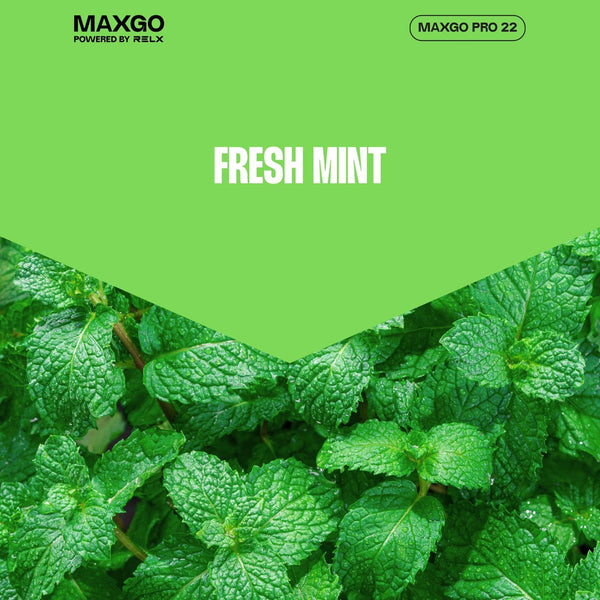 RELX-UK Maxgo pro 22 Fresh Mint
