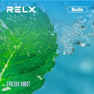 RELX MaxGo 3